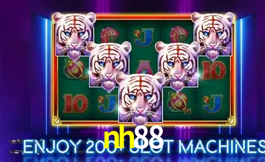 Blackjack ao vivo